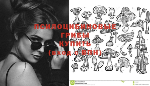 прущие грибы Алексеевка
