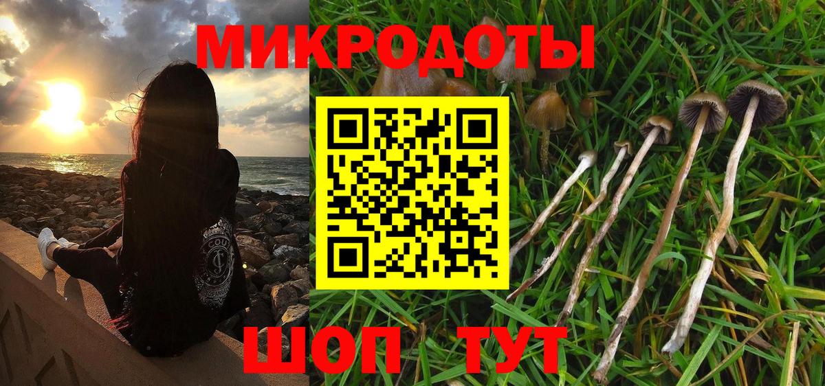 Псилоцибиновые грибы Cubensis Гурьевск
