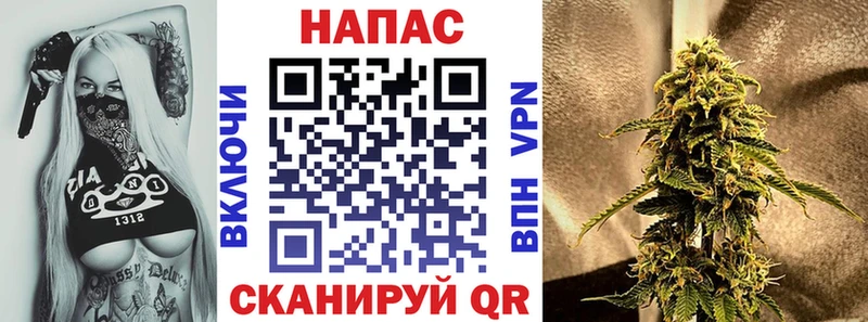 закладки  Гурьевск  ОМГ ОМГ зеркало  Канабис сатива 